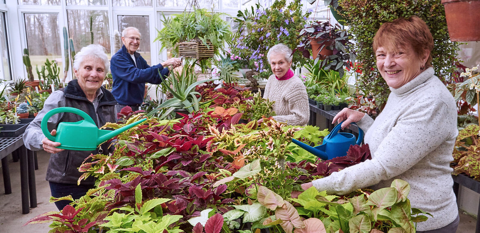 Community Amenities - greenhouse