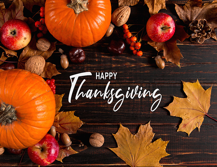 Happy Thanksgiving! –